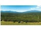 Malanda QLD 4885