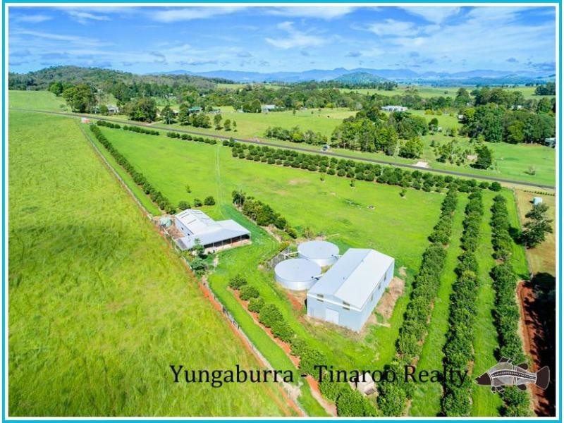 Lake Eacham QLD 4884