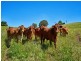 Lot 22 Powley Road, Yungaburra QLD 4884
