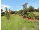 Tolga QLD 4882