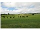 Peeramon QLD 4885