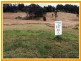 Yungaburra QLD 4884