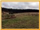 Yungaburra QLD 4884