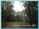 Lot 2 Russell Pocket Road, Yungaburra QLD 4884