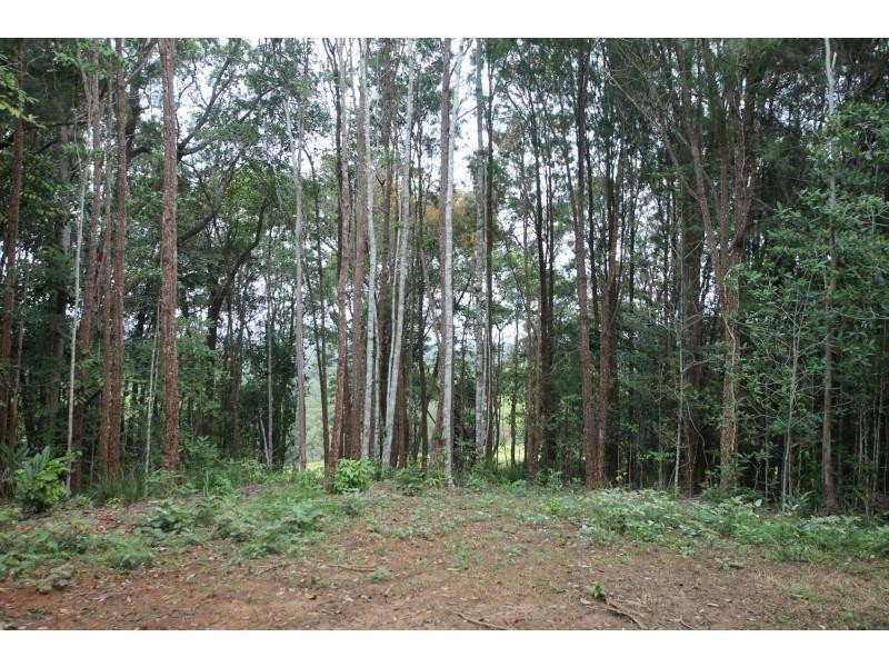 Lot 2 Russell Pocket Road, Yungaburra QLD 4884
