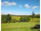 Yungaburra QLD 4884