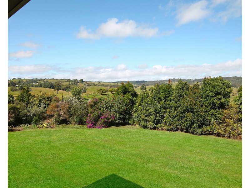Yungaburra QLD 4884