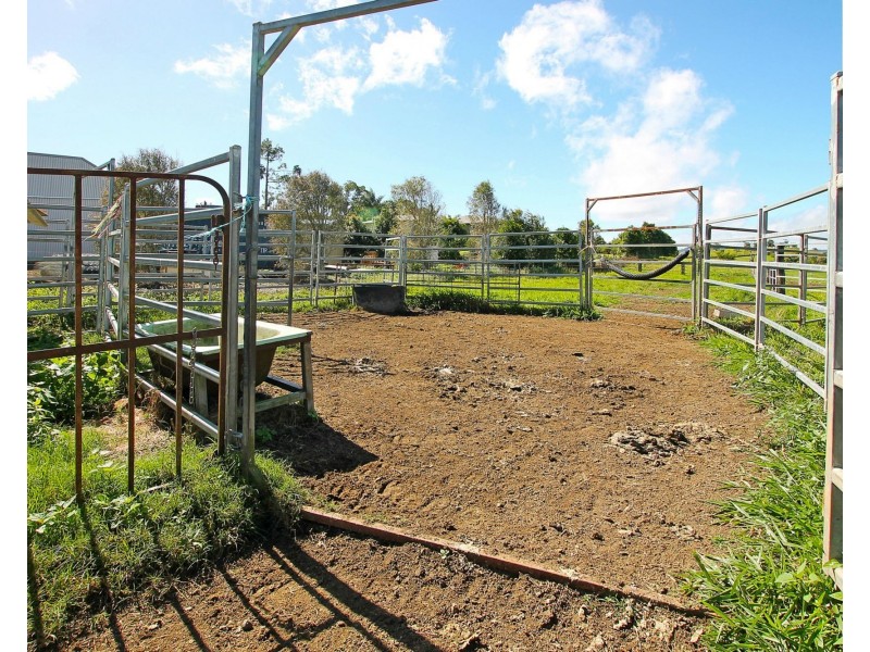 Yungaburra QLD 4884