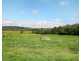 Yungaburra QLD 4884