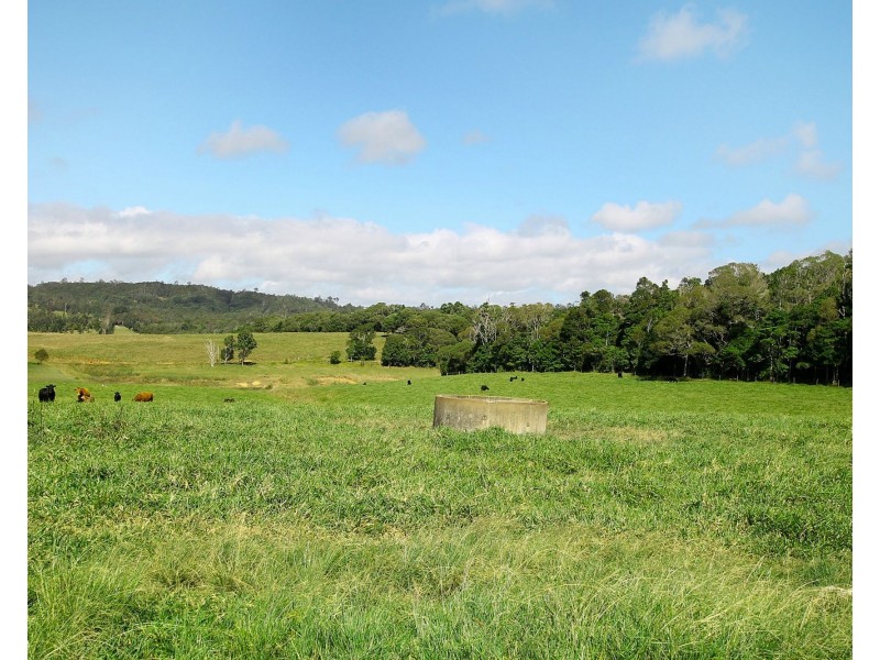 Yungaburra QLD 4884