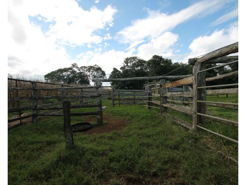 Yungaburra QLD 4884