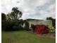 Yungaburra QLD 4884