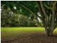 Yungaburra QLD 4884