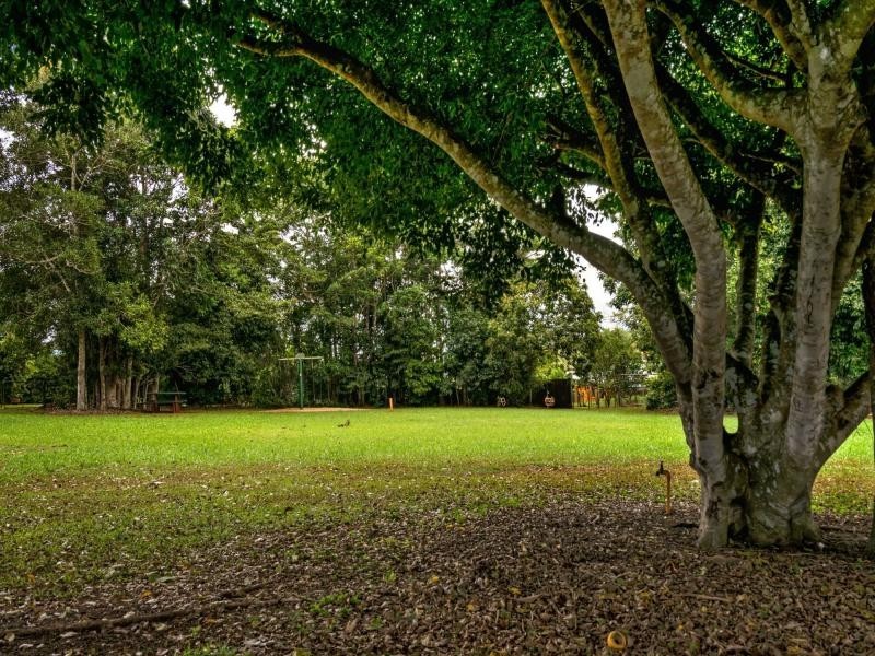 Yungaburra QLD 4884