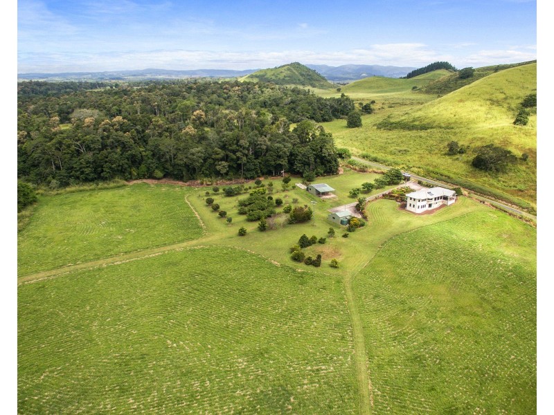 Yungaburra QLD 4884