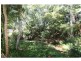 Lake Eacham QLD 4884