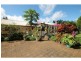 Tarzali QLD 4885