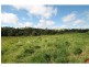 Tarzali QLD 4885