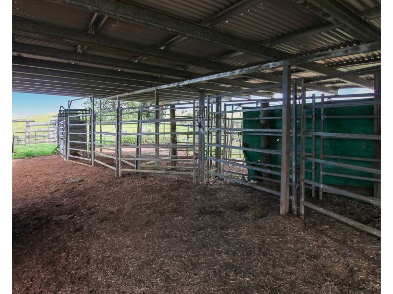 Malanda QLD 4885
