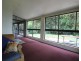 Yungaburra QLD 4884