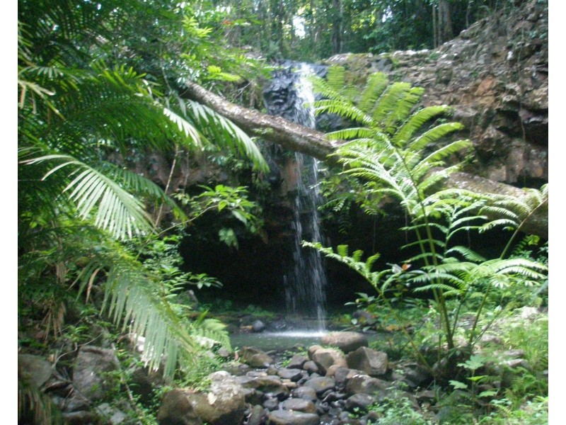 Yungaburra QLD 4884
