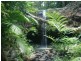 Yungaburra QLD 4884