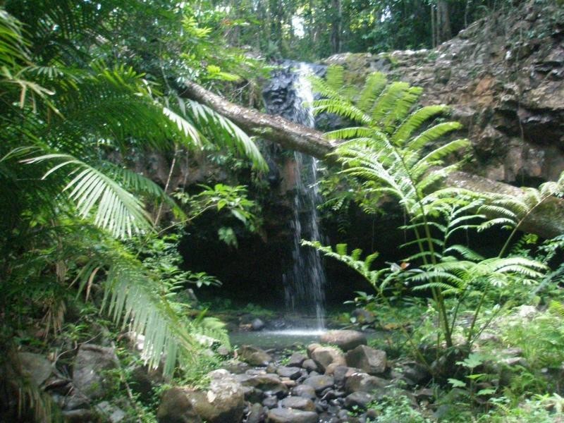 Yungaburra QLD 4884