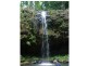 Yungaburra QLD 4884