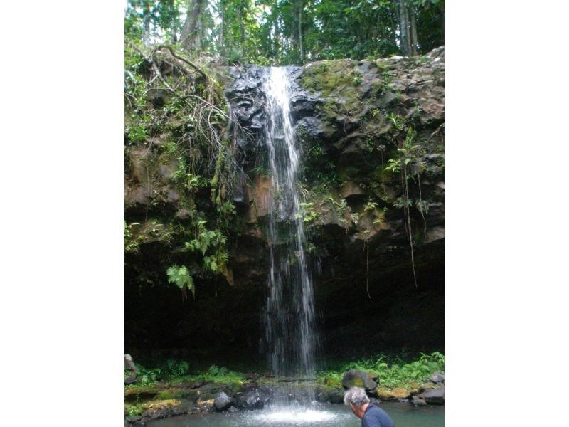 Yungaburra QLD 4884