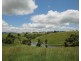 Millaa Millaa QLD 4886