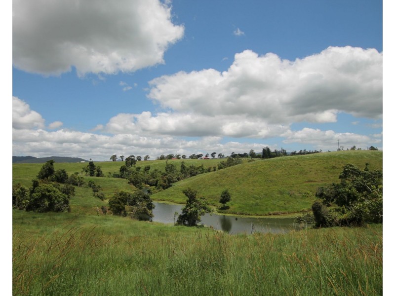 Millaa Millaa QLD 4886
