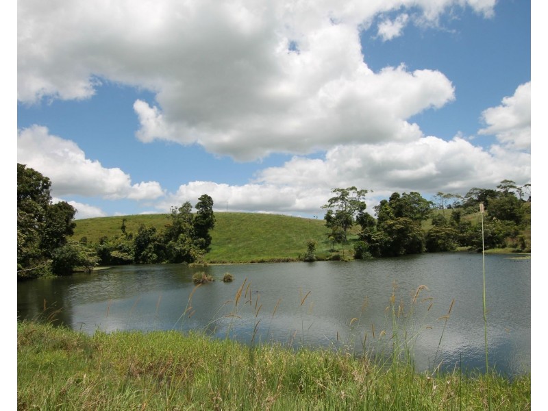 Millaa Millaa QLD 4886