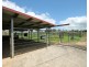 Millaa Millaa QLD 4886