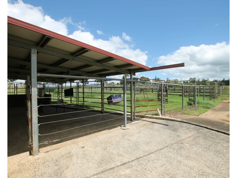 Millaa Millaa QLD 4886