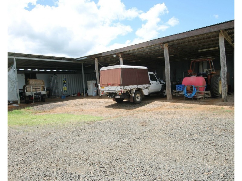 Millaa Millaa QLD 4886