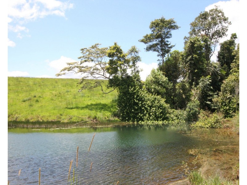 Millaa Millaa QLD 4886