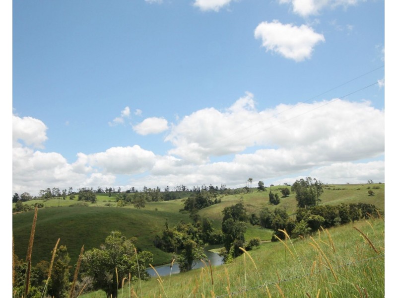 Millaa Millaa QLD 4886