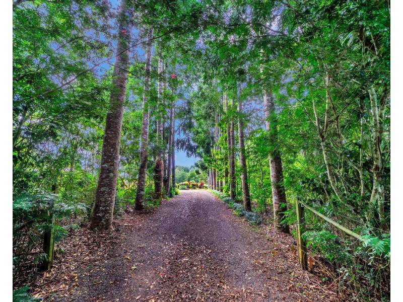 Yungaburra QLD 4884