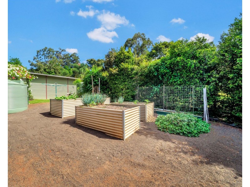 Yungaburra QLD 4884