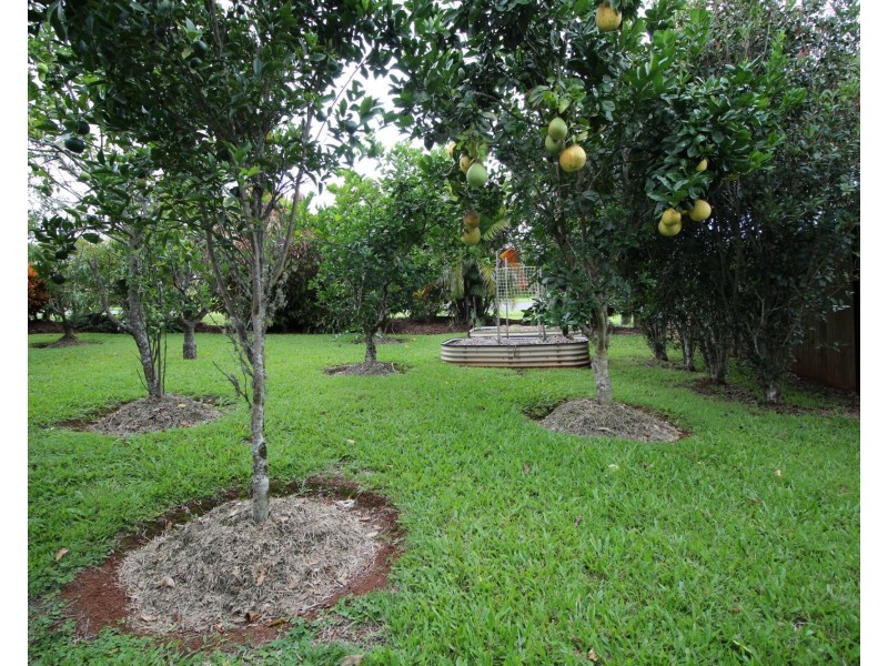 Yungaburra QLD 4884