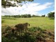 Lot 5 Lorensen Close, Malanda QLD 4885