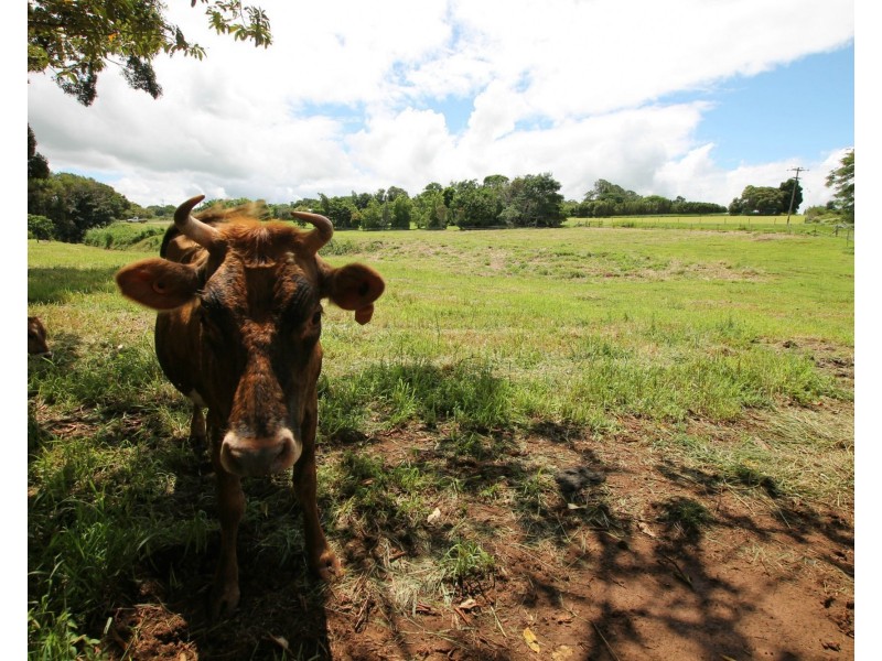 Lot 5 Lorensen Close, Malanda QLD 4885