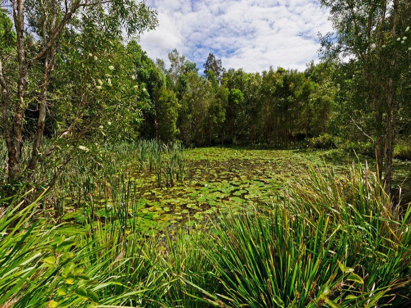 34 Osprey Drive, Jacobs Well QLD 4208