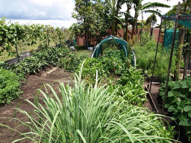 16-18 Seabrae Street, Steiglitz QLD 4207