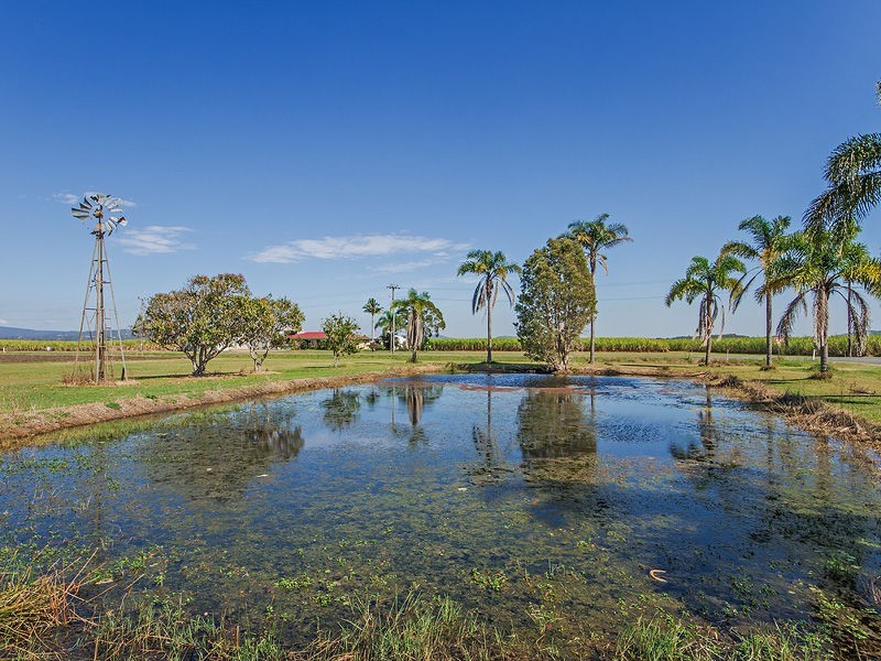 115 Fischers Road, Norwell QLD 4208