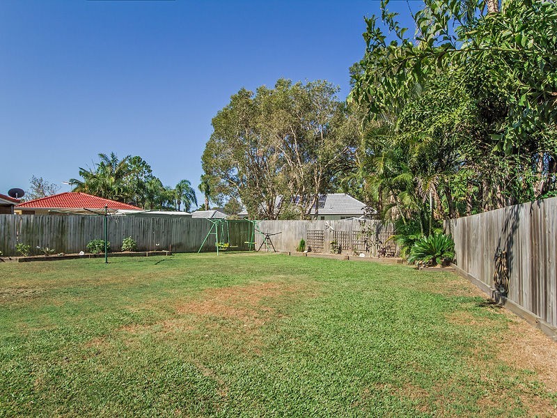 6 Petrel Place, Jacobs Well QLD 4208