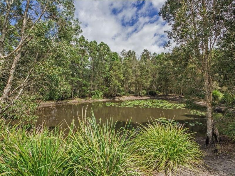 34 Osprey Drive, JACOBS WELL, Jacobs Well QLD 4208