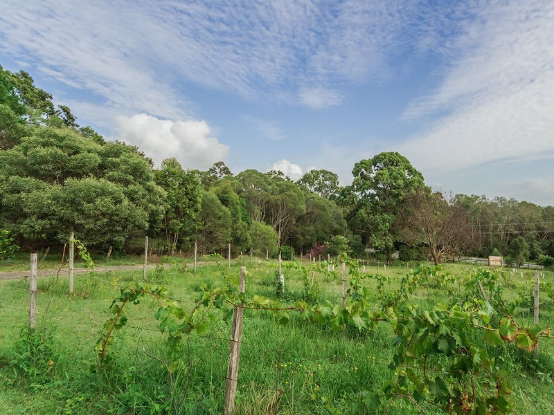 446 PIMPAMA-JACOBS WELL Road, Pimpama QLD 4209