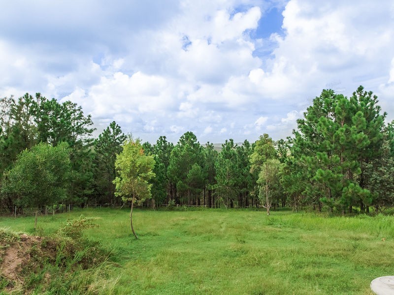 446 PIMPAMA-JACOBS WELL Road, Pimpama QLD 4209