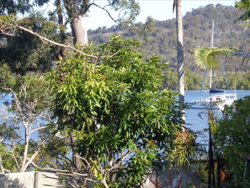 11 Oasis Drive, Russell Island QLD 4184